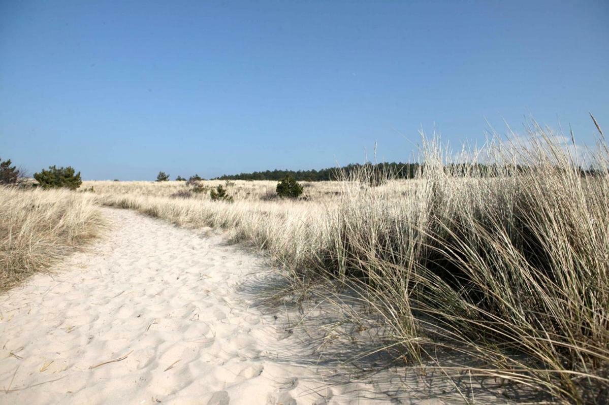 La Tulipe Lägenhet Egmond aan den Hoef Exteriör bild